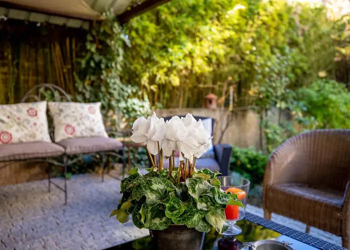 B&B Octroi Saint-jacques